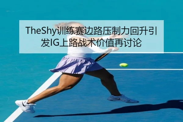 TheShy训练赛边路压制力回升引发IG上路战术价值再讨论